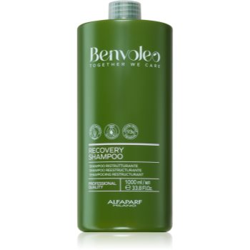 Alfaparf Milano Benvoleo Recovery Sampon restructurare pentru par deteriorat - imagine 2
